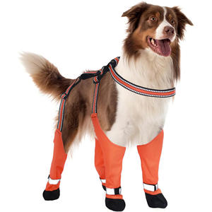 Çok Satan Evcil Köpek Ayakkabıları Kaymaz Dört Mevsim Yeni Su Geçirmez Kir Tutmaz Çekiş İpli Köpek Botları - Product Image 5