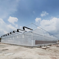 Serres de film plastique multi-travées pour l'agriculture commerciale Serre de système hydroponique pour légumes fruits fleurs