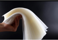 Produits tendance 2023 nouvel arrivage sac sous vide en Nylon Transparent laminé Pe de qualité alimentaire sac d'emballage en Nylon co-extrusion