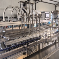 Machine de remplissage automatique de liquides (boissons, produits chimiques, huiles) à pompe magnétique, 2 à 10 têtes, pour petites bouteilles