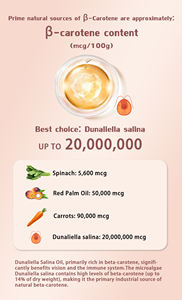 हेटचियन कार्बनिक 3% प्राकृतिक प्राइम बीटा कैरोटीन विटामिना दृष्टि लाभ ठंड डुनालिला सैला निकालने के पाउडर - Product Image 3