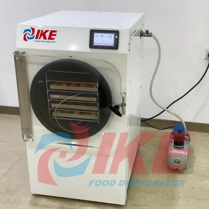 IKE Small freeze drying dried food machines stainless lyophilization machine