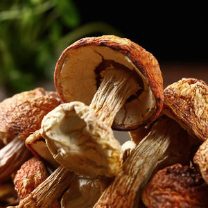 थोक जी गीत उच्च गुणवत्ता वाले सूखे हिमटसुले मशरूम प्राकृतिक कार्बनिक मशरूम एजिरकस ब्लेजी भित्ति चित्र - Product Image 3