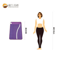Jiwan Lejia 2026 Nouveau produit Coussin chauffant massant pour le dos, idéal pour le bureau, soulagement des douleurs et des crampes menstruelles