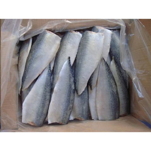 Filets de maquereau du Pacifique surgelés, fraîcheur optimale, types Scombrus - Product Image 4