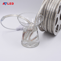Atmosphère confortable 120 LED/M Installation facile 2835 AC 220V Smart pour bande à intensité variable IP65 pour décorations de vacances à la maison