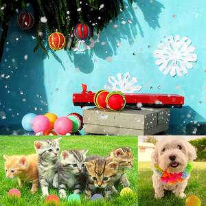 Pelotas de tenis de mesa multicolores personalizadas, pelotas de <span class=keywords><strong>ping</strong></span> <span class=keywords><strong>pong</strong></span> de plástico de 40mm, juego de beber, pelotas de cerveza <span class=keywords><strong>Pong</strong></span>, venta al por mayor, 150 uds/paquete - Product Image 6