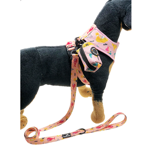Progettazione personalizzata di trasporto heavy duty di lusso riflettente non tirare morbido cablaggio dell'animale domestico della maglia del gatto pet dog harness guinzaglio del cane harness set - Product Image 3