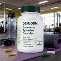 Complément alimentaire en gélules de Gymnema Sylvestre pour la santé métabolique, fabrication OEM personnalisée, vente en gros, marque privée