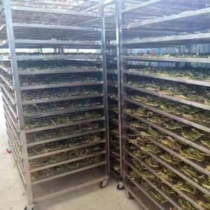 فرن تجفيف رائج البيع محرك تجهيز الطعام متعدد الوظائف مقلاة خبز كبيرة 10 لتر ضمان لمدة سنة - Product Image 1