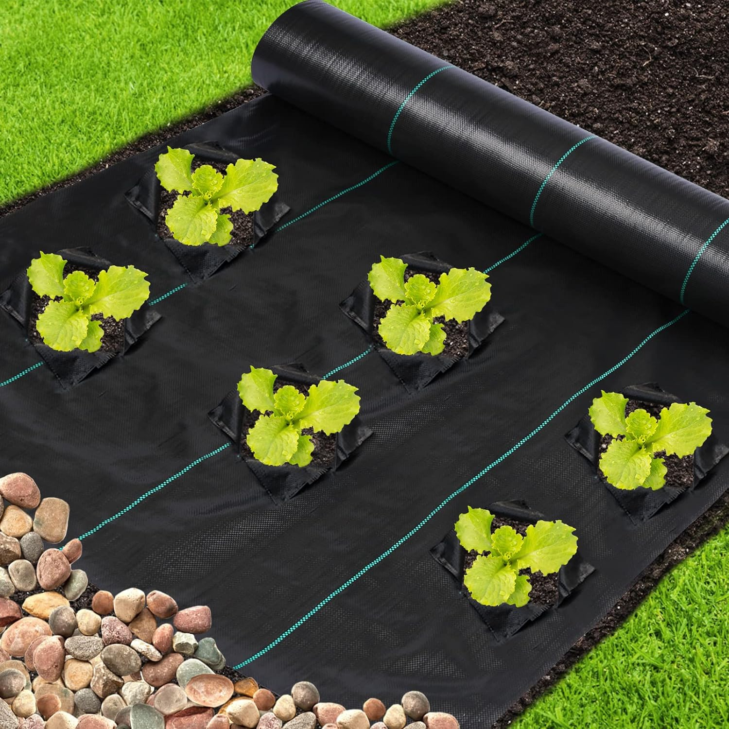 biodegradable fiber landscape fabric with holes polyethylene circle plam green free high strength weed control mat