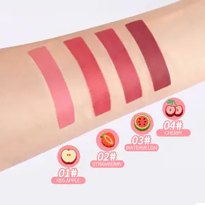 Private Label Matte Lippen tönung wasserdichte Kosmetik OEM flüssige Lippenstift Make-up maßge schneiderte natürliche Liptint