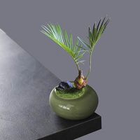 Pot Bunga Keramik Lapisan Glaze Motif Retak Es Kecil dengan Lubang Drainase untuk Sukulen, Tanaman Hijau, Bambu Podocarpus - Gaya Cina