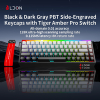 Clavier mécanique laser LDON Mide68pro, nouveau modèle, RGB, filaire, interface USB/Type-C, lumière néon 8KHZ, 68 touches à commutateur magnétique