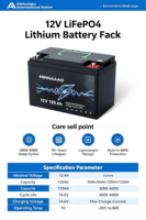 Paket Baterai LiFePO4 Deep Cycle Seri 12V 30Ah-120Ah yang Dapat Disambungkan untuk Penyimpanan Tenaga Surya, Cadangan Rumah, Berkemah RV & Daya Luar Ruangan