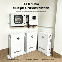 Batterie solaire domestique LiFePO4 5KWh 51.2V 100Ah, système de stockage d'énergie basse tension avec 6000 cycles pour les ménages