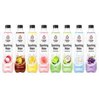 Eau gazeuse pétillante OEM 500ml en bouteille PET, boisson gazeuse fruitée sans sucre, certifiée, vente en gros, marque privée