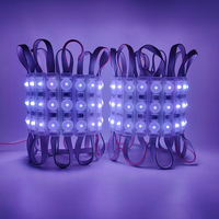 Module LED RGB adressable étanche IP67 DC12V 75x15mm WS2811ic Pixel pour enseignes lumineuses extérieures