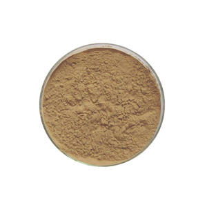 Extrato de Erva Tradicional Chinesa de Melhor Qualidade, Extrato de <span class=keywords><strong>Angelica</strong></span> / <span class=keywords><strong>Angelica</strong></span> Sinensis - Product Image 1