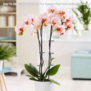 Pince à boucle à levier <span class=keywords><strong>pour</strong></span> plantes de jardinage vertes <span class=keywords><strong>pour</strong></span> soutenir ou redresser les tiges et les tiges de plantes - Product Image 5