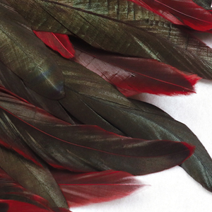 Chal de Plumas de Lujo al por Mayor para Disfraces de Halloween, Estilo Punk Gótico, Bufanda para <span class=keywords><strong>Mujer</strong></span>, Capa de Plumas, Collar para Hombro - Product Image 6