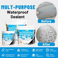 Hupeyna Scellant acrylique imperméable liquide transparent, revêtement réparateur anti-fuite, adhésif invisible intérieur/extérieur