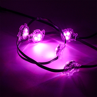 Projecteur LED extérieur 24V 0.96W 30mm avec contrôle par application, IP68, RVBW, couleurs changeantes, pour aménagement paysager et Noël, garantie 2 ans