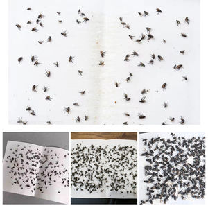 उच्च गुणवत्ता वाले कार्डबोर्ड गोंद बोर्ड चिपचिपा फ्लाई कैचर पेपर सरीसृप ट्रैप स्टिकर गोंद पेपर फ्लाई कीट नियंत्रण बोर्ड - Product Image 3