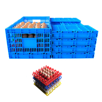 Caisse de transport en plastique pour œufs à couver, capacité 360 œufs, contient 12 plateaux à œufs pour élevages avicoles, fermes d'élevage et couvoirs