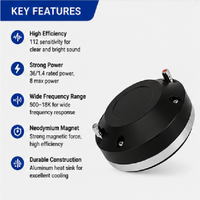 HDE-914 Neodimyum Kompresyon Sürücüsü 1.4" VC 120W AES 8 Ohm Metal Gövdeli PA Hoparlör Sistemi için