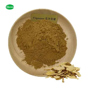 Herbe chinoise pur naturel Chang Shan Radix Dichroa Febrifuga extrait de racine