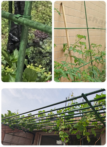 HDPE 8/11/16/20mm Cross Clip Garden <b>Plant</b> <b>Support</b> Stake Bracket Connector Grafting Pole Fixed <b>Frame</b> Accessories - Product Image 6