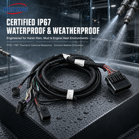 Harnais de câblage personnalisé pour moto électrique BeiXing, âme en cuivre, isolation PTFE/PBT, indice de protection IP67, 12V pour l'électronique