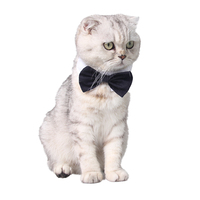 Noeud papillon réglable en coton de style britannique pour chats et chiens Motif animal mignon Accessoire en gros de la fabrication
