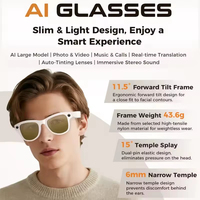 Gafas Inteligentes M02 Ultra con Cámara, Estuche de Carga Inversa de 3600 mAh, 32 GB, IA ChatGPT, Reconocimiento/Traducción de Objetos, Llamadas, Gafas de Sol