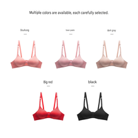 Sujetador sin Costuras para Mujer, Ligero, Verano, con Logotipo Personalizado OEM/ODM, Cierre de Dos Filas en la Espalda, Sin Varillas, Cómodo y Transpirable