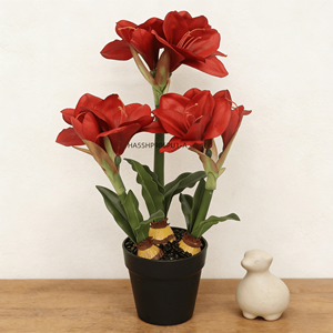 Clivia Miniata Artificial Realista |   Bonsái Artificial en Maceta de Plástico para Decoración de Mesa en Hogar u Oficina - Product Image 1