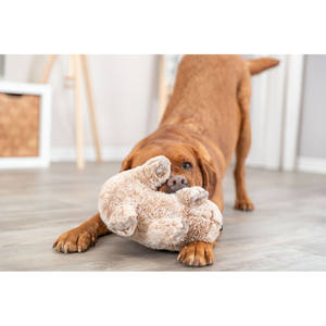 Peluche de Koala de 25 cm, Animal de Peluche Suave para Mascotas, Juego Interactivo - Product Image 5