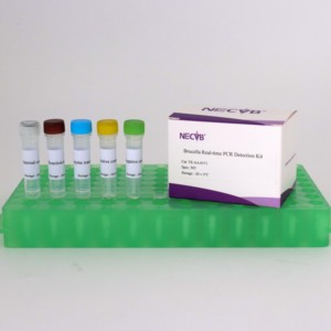 Brucella spp. Kit de Detección de PCR en Tiempo Real - Product Image 1