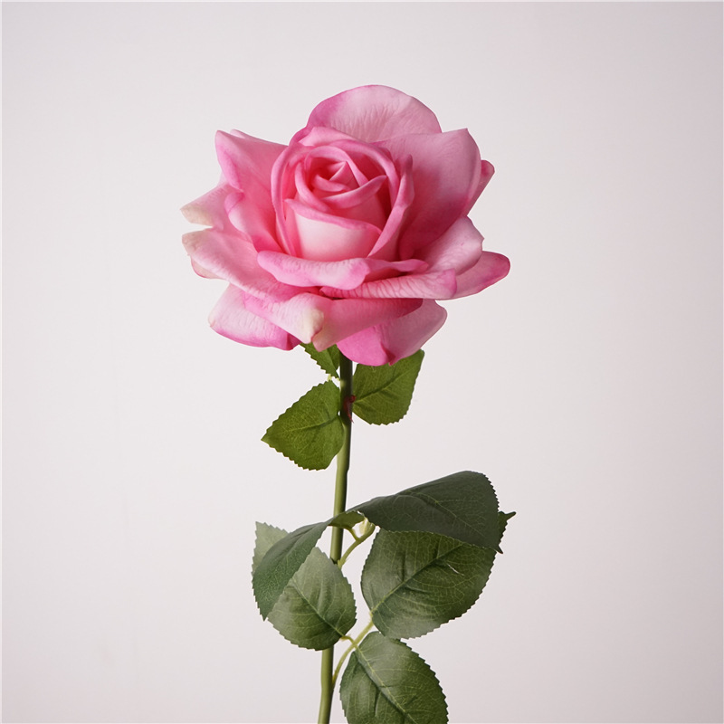 Rosa oscuro