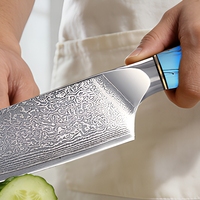 Couteau de chef en acier Damas VG10 à 67 couches, couteau de boucher pour la cuisine domestique, couteau à découper, couteau utilitaire, couteau à fruits avec manche en résine