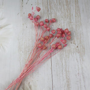 Flores decorativas, suministro de floristería, Frijol de Acacia, semilla de lino en conserva seca, ramo de frutas, ramo de Linum, frijol de lino, fruta - Product Image 2