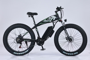 Bicicleta Eléctrica Híbrida City 48v 13ah para Adultos, Llantas Gruesas de 20 Pulgadas, E-bike Shark Snow - Product Image 6