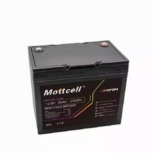 Batteria LiFePO4 12.8V 100Ah per Accumulo Energetico Domestico, Cella Personalizzata - Product Image 5