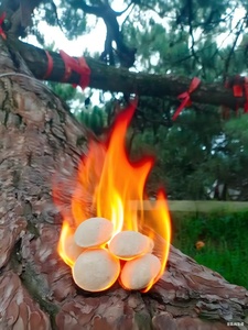 <span class=keywords><strong>Accendifuoco</strong></span> in Lana di Legno a Riscaldamento Rapido, Antiaderente, Resistente al Calore e Antipolvere per BBQ e Cucina all'Aperto, Personalizzabile - Product Image 4