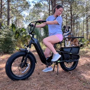 Vélo cargo électrique 250W, E-bike cargo 48V 15Ah avec <span class=keywords><strong>porte</strong></span>-bagages, entrepôt UE, livraison en 7 jours, EN15194, vélo électrique - Product Image 1