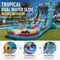 Toboggan aquatique gonflable commercial extérieur à une voie, long, avec piscine à jets, thème palmier tropical, coloris turquoise, jaune et rose