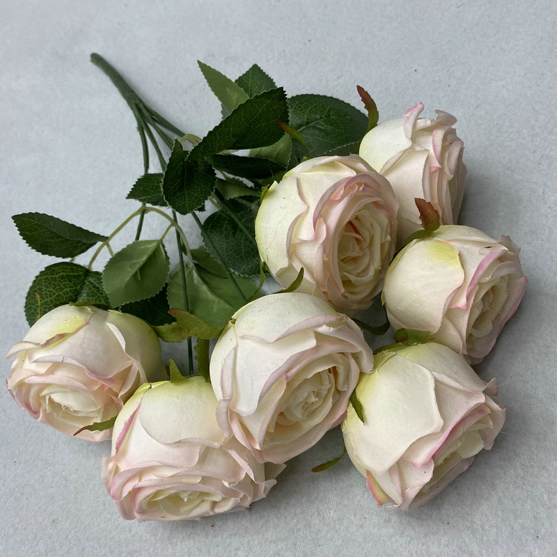 2 rose clair