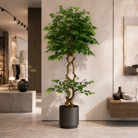 Arbre artificiel Ficus de 200 cm en pot, grande plante artificielle Banyan à feuilles de soie, verdure d'intérieur pour la décoration de bureau et de maison, vente en gros OEM ODM