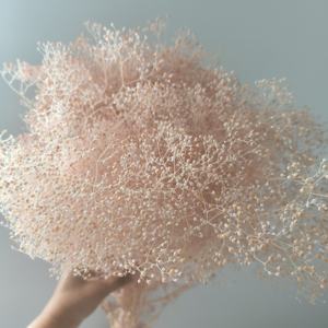 Mini Gipsofila Elegans Stabilizzata Velo di Sposa Essiccata Decorazione per Eventi per Composizioni Festa della Mamma e Natale - Product Image 1